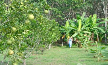 For sale land in Thong Pha Phum, Kanchanaburi