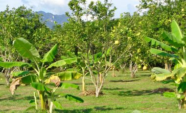 For sale land in Thong Pha Phum, Kanchanaburi