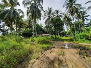 For sale land in Mueang Krabi, Krabi