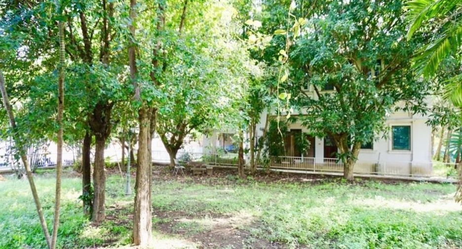For rent 3 bedrooms house in San Sai, Chiang Mai