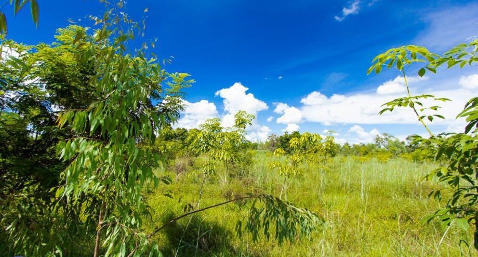 For sale land in Samrong, Ubon Ratchathani