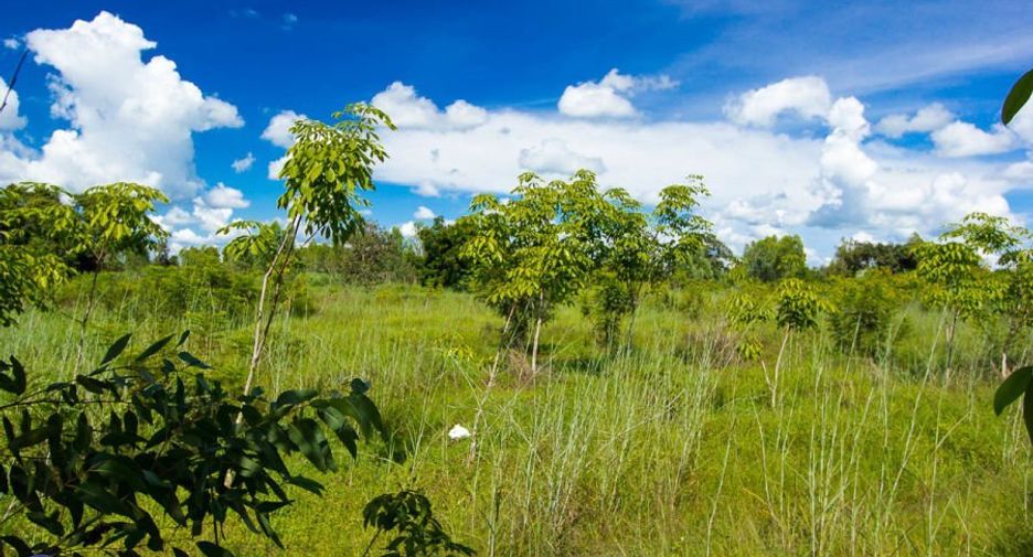 For sale land in Samrong, Ubon Ratchathani