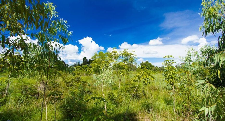 For sale land in Samrong, Ubon Ratchathani