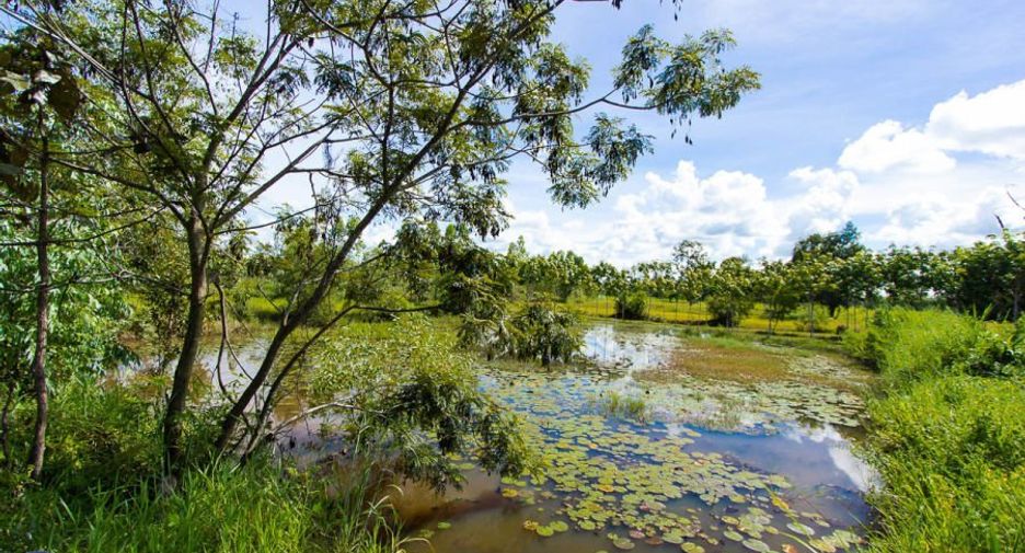 For sale land in Samrong, Ubon Ratchathani