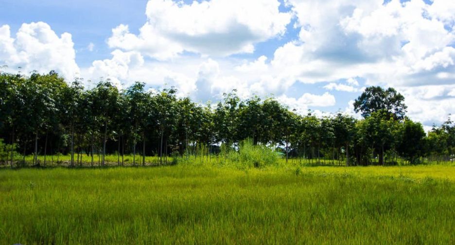 For sale land in Samrong, Ubon Ratchathani
