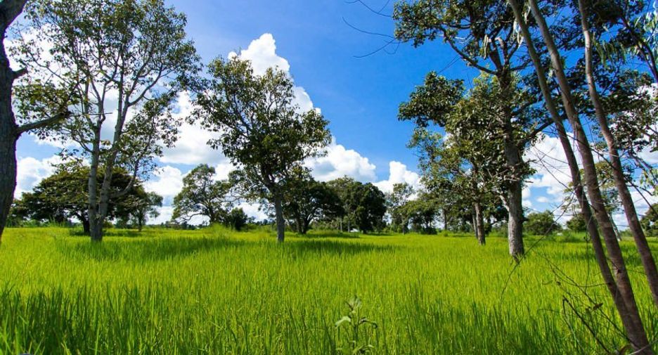For sale land in Samrong, Ubon Ratchathani