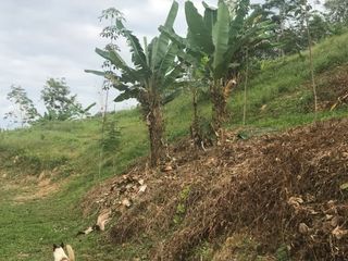 For sale land in Takua Thung, Phang Nga
