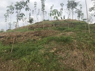 For sale land in Takua Thung, Phang Nga
