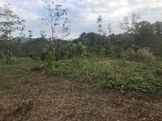 For sale land in Takua Thung, Phang Nga