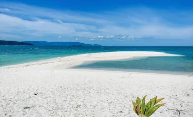 For sale land 