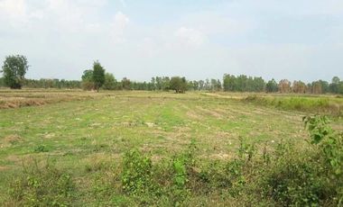 For sale land in Mueang Udon Thani, Udon Thani