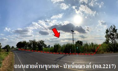 For sale land in Dan Khun Thot, Nakhon Ratchasima