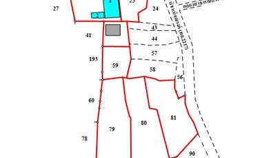For sale land in Dan Khun Thot, Nakhon Ratchasima