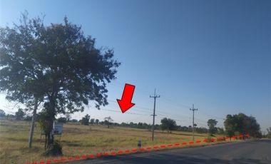 For sale land in Dan Khun Thot, Nakhon Ratchasima