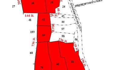 For sale land in Dan Khun Thot, Nakhon Ratchasima