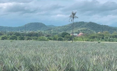 For sale land in Pran Buri, Prachuap Khiri Khan