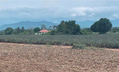 For sale land in Pran Buri, Prachuap Khiri Khan