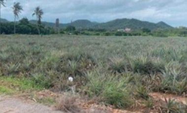 For sale land in Pran Buri, Prachuap Khiri Khan