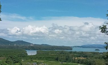 For sale land in Thalang, Phuket