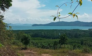 For sale land in Thalang, Phuket