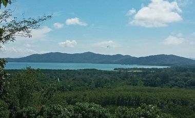 For sale land in Thalang, Phuket