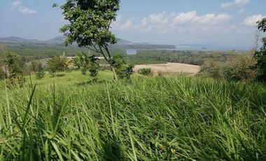 For sale land in Thalang, Phuket