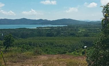 For sale land in Thalang, Phuket