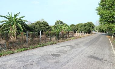 For sale land in Mae Taeng, Chiang Mai