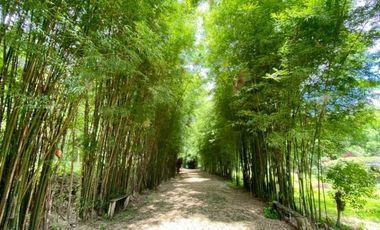 For sale 5 bed house in Mae Rim, Chiang Mai