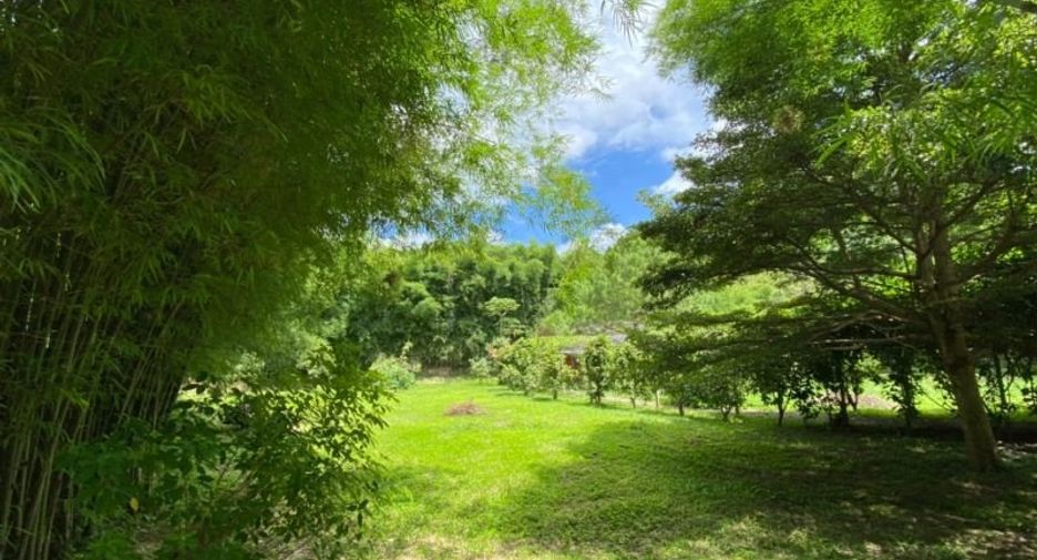 Casa en venta de 5 habitaciones en Mae Rim, Chiang Mai