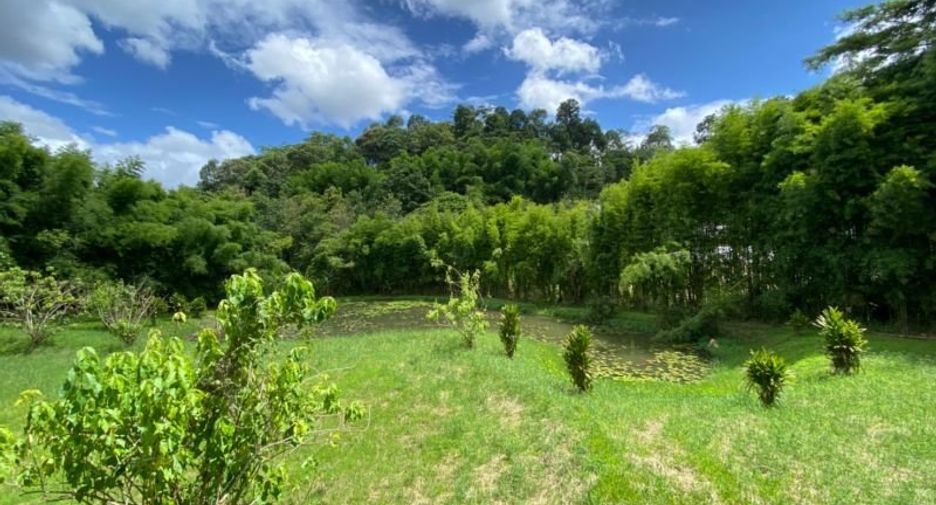 Casa en venta de 5 habitaciones en Mae Rim, Chiang Mai