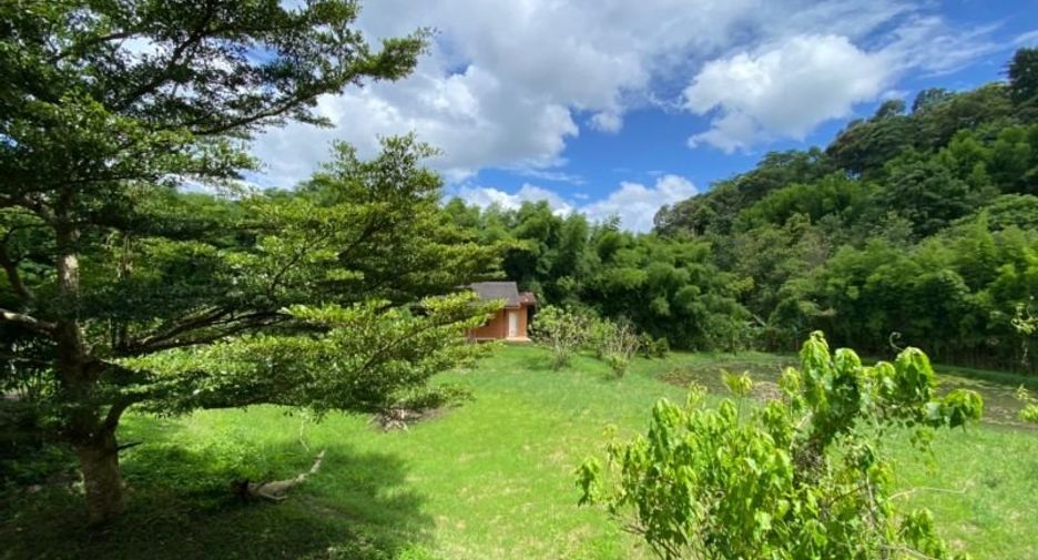 Casa en venta de 5 habitaciones en Mae Rim, Chiang Mai