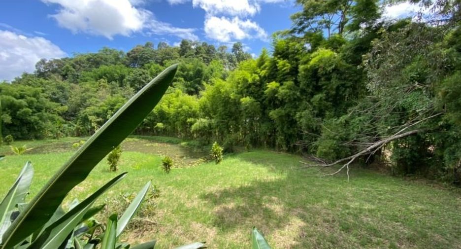Casa en venta de 5 habitaciones en Mae Rim, Chiang Mai