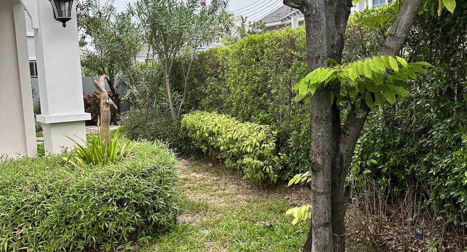 For sale 3 bed house in San Sai, Chiang Mai