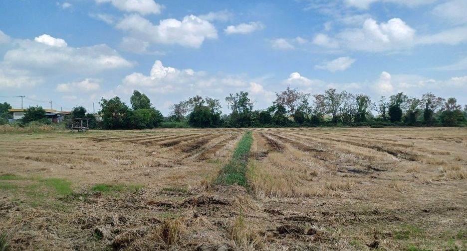 For sale land in Bang Rakam, Phitsanulok
