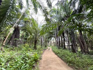 Terreno en venta en Takua Thung, Phang Nga