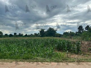 For sale land in Chok Chai, Nakhon Ratchasima