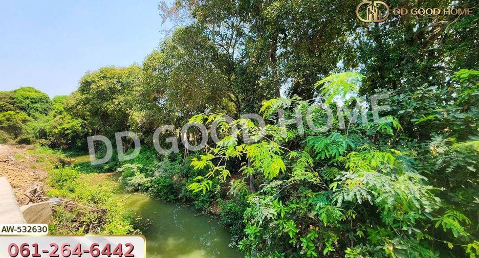 For sale land in Sena, Phra Nakhon Si Ayutthaya