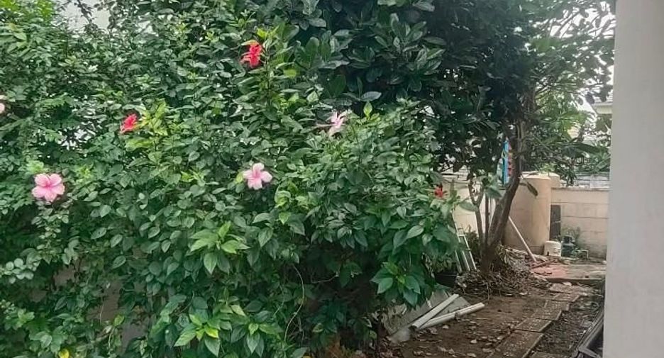 For sale 3 ベッドルーム house in Bang Bua Thong, Nonthaburi