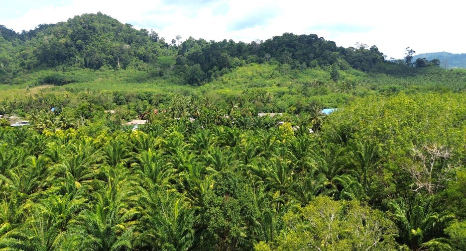出售 土地 在 Takua Pa, Phangnga