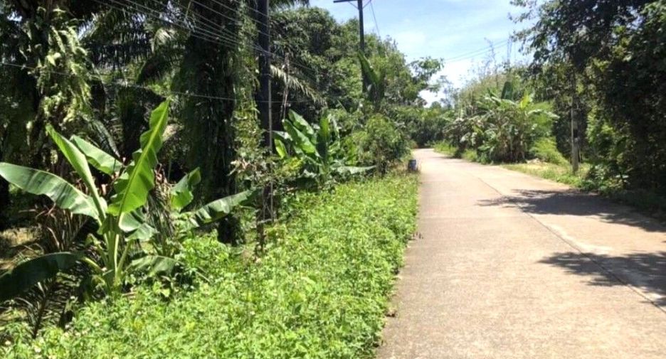 出售 土地 在 Takua Pa, Phangnga