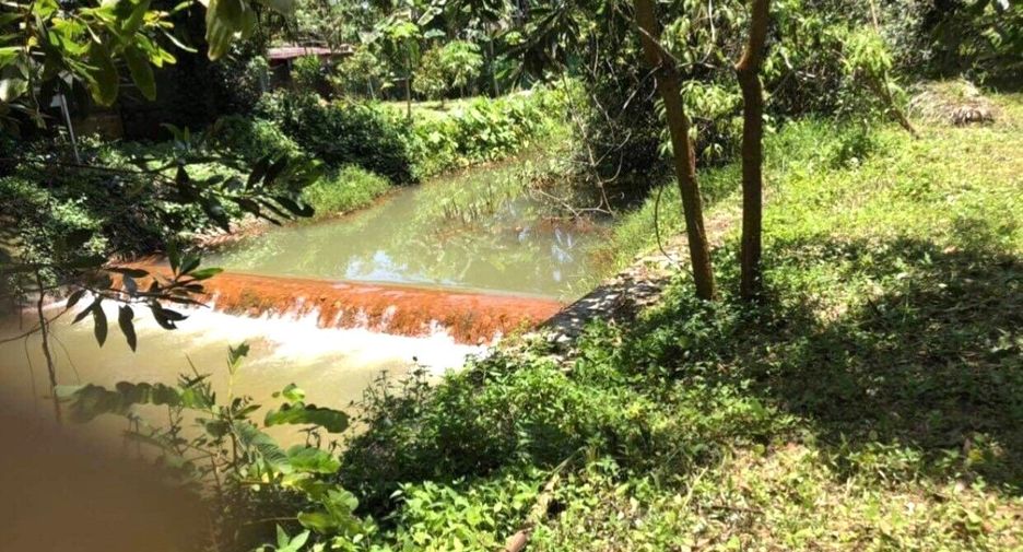 出售 土地 在 Takua Pa, Phangnga