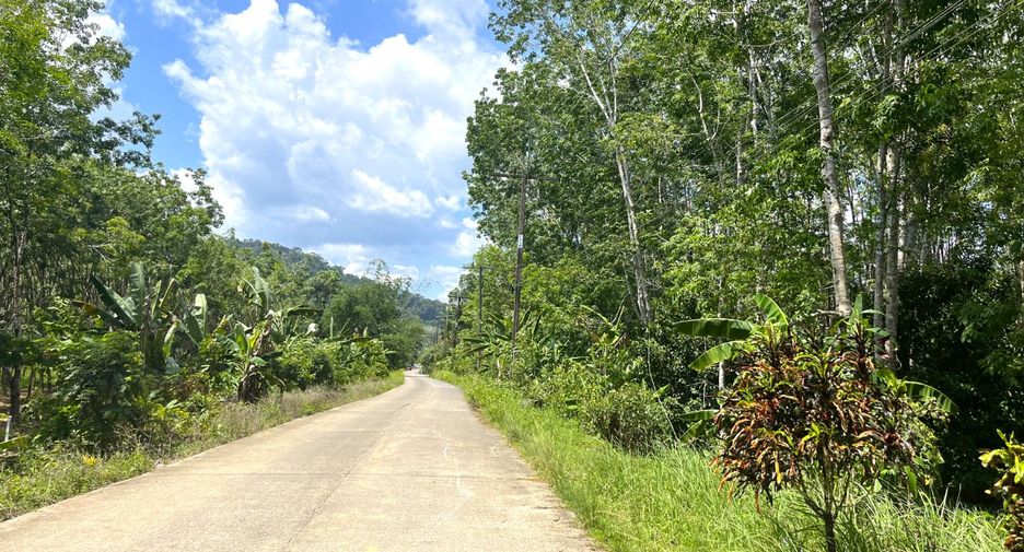 出售 土地 在 Takua Pa, Phangnga