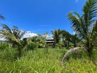 For sale land in Takua Thung, Phang Nga