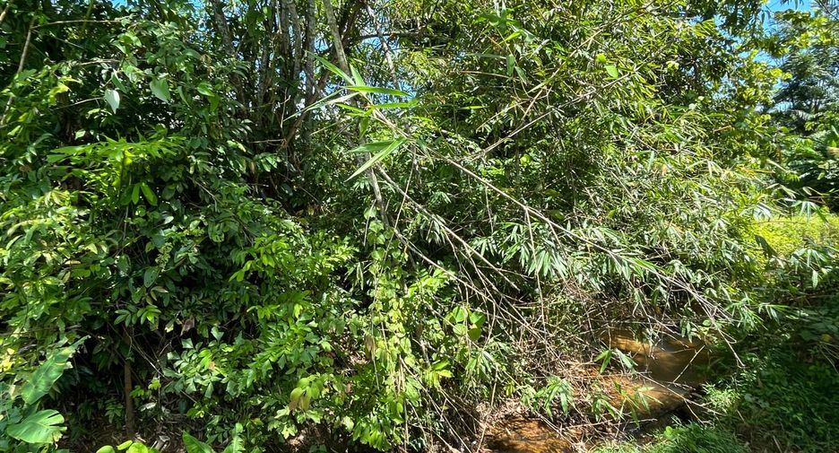 À vendre terrain à Takua Thung, Phang Nga