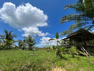 For sale land in Takua Thung, Phang Nga