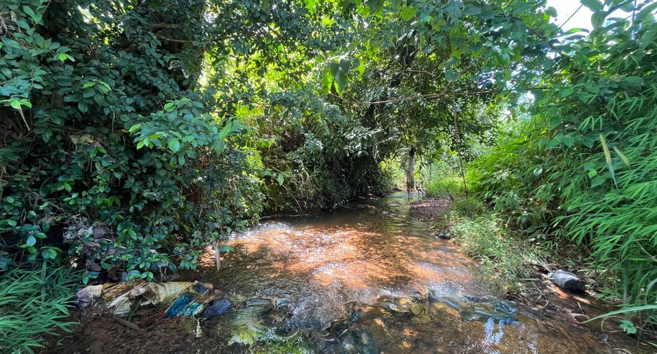 À vendre terrain à Takua Thung, Phang Nga