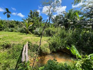 For sale land in Takua Thung, Phang Nga