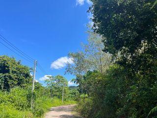 For sale land in Takua Thung, Phang Nga