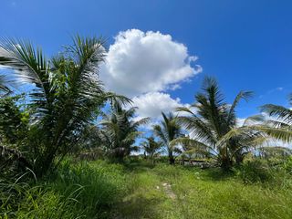 For sale land in Takua Thung, Phang Nga